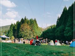 -武陵山森林公园