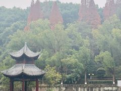 -忠山公园