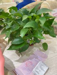 -北京俪婴妇产医院(朝阳大悦城店)