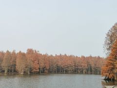 -尚湖风景区