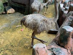 -长鹿旅游休博园