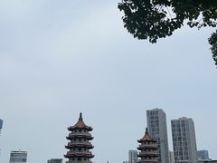 -宝岛公园