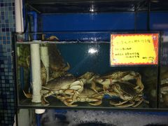 -蚝专家(北滘店)