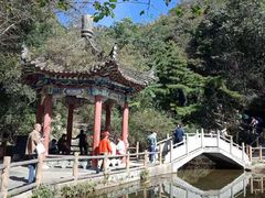 -王顺山国家森林公园