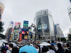 -涩谷区