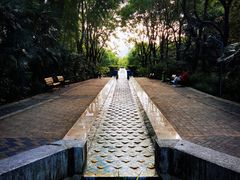 -苏州河梦清园环保主题公园