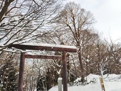 -北海道神宫