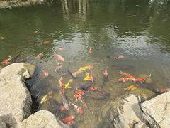 -青岛鑫江温德姆酒店