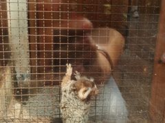 -上海大自然野生昆虫馆(东方明珠·爬宠昆虫探索中心)