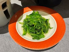 -柿合缘新京菜(静安嘉里中心店)