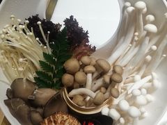 -洪氏嗨捞·猪肚鸡火锅(阳光天地店)