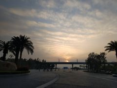 -宝安西湾红树林湿地公园