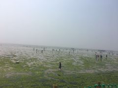 -刘家湾赶海园