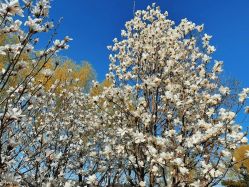 -Oasis Beauty水磨坊科技美肤中心