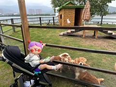 -长兴太湖图影湿地文化园