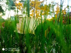 -中国浦东干部学院