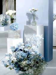 -明典婚礼策划·婚车租赁·婚纱摄影