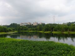 景点-贵阳市花溪国家城市湿地公园