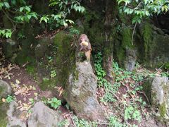 -黔灵山公园