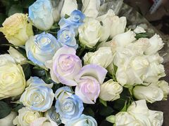 -桂林市花鸟市场