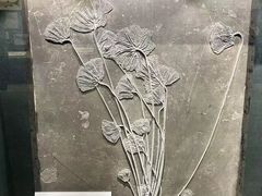 -大连自然博物馆