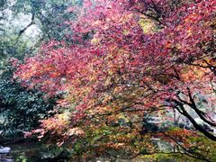 -浙江大学(玉泉校区)