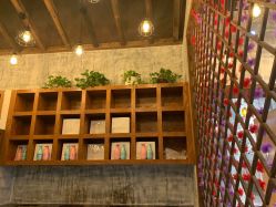 -T.1 hair salon烫染接发
