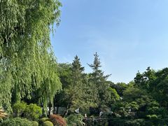 -秋霞圃