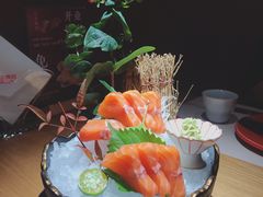 法罗三文鱼-江左尚白日本料理(万象城店)