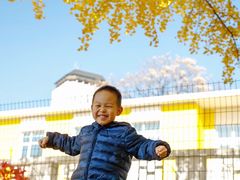 -三里屯东五街银杏大道