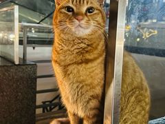 -陆家嘴世纪金融广场