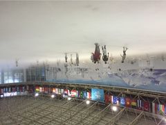 阿尔卑斯冰雪世界滑冰场-世界之窗阿尔卑斯冰雪世界
