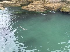 -海驴岛(荣成市)