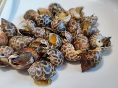花螺-79号渔船海鲜饭店(宝安店)