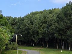 -白鹭湾湿地公园