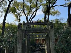 -天一阁博物院