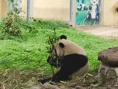 -西安秦岭野生动物园