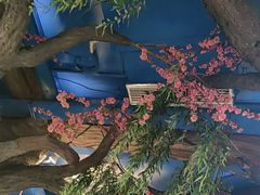 -文楼·淮扬菜·淮安早茶(河下古镇翔宇店)