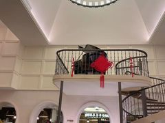 -大堂吧(大连金石滩绿发希尔顿度假酒店)
