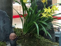 -九华山聚龙大酒店