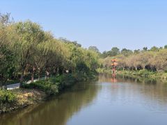 -日照海滨国家森林公园