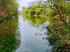 -桤木河湿地公园