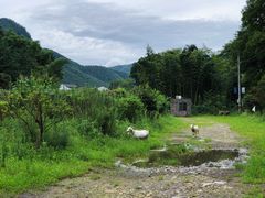 -鹿亭中村