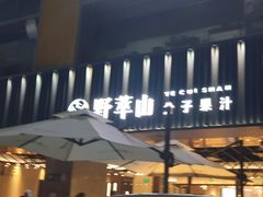 -野萃山·潮汕厚果汁(十亩地店)