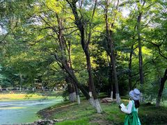 -长白岛森林公园