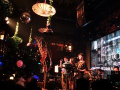 -胡桃里音乐酒馆(石家庄店)