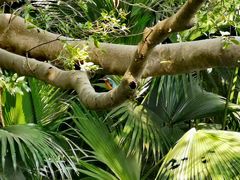 -人民公园(罗湖区)