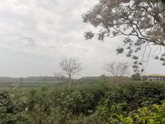 -侯臣咖啡文化村