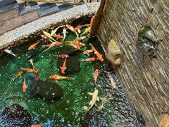 -汇景花园酒家(基立下道店)