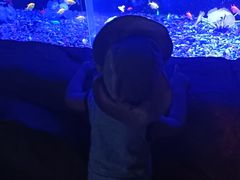 -常州海昌海洋探索馆